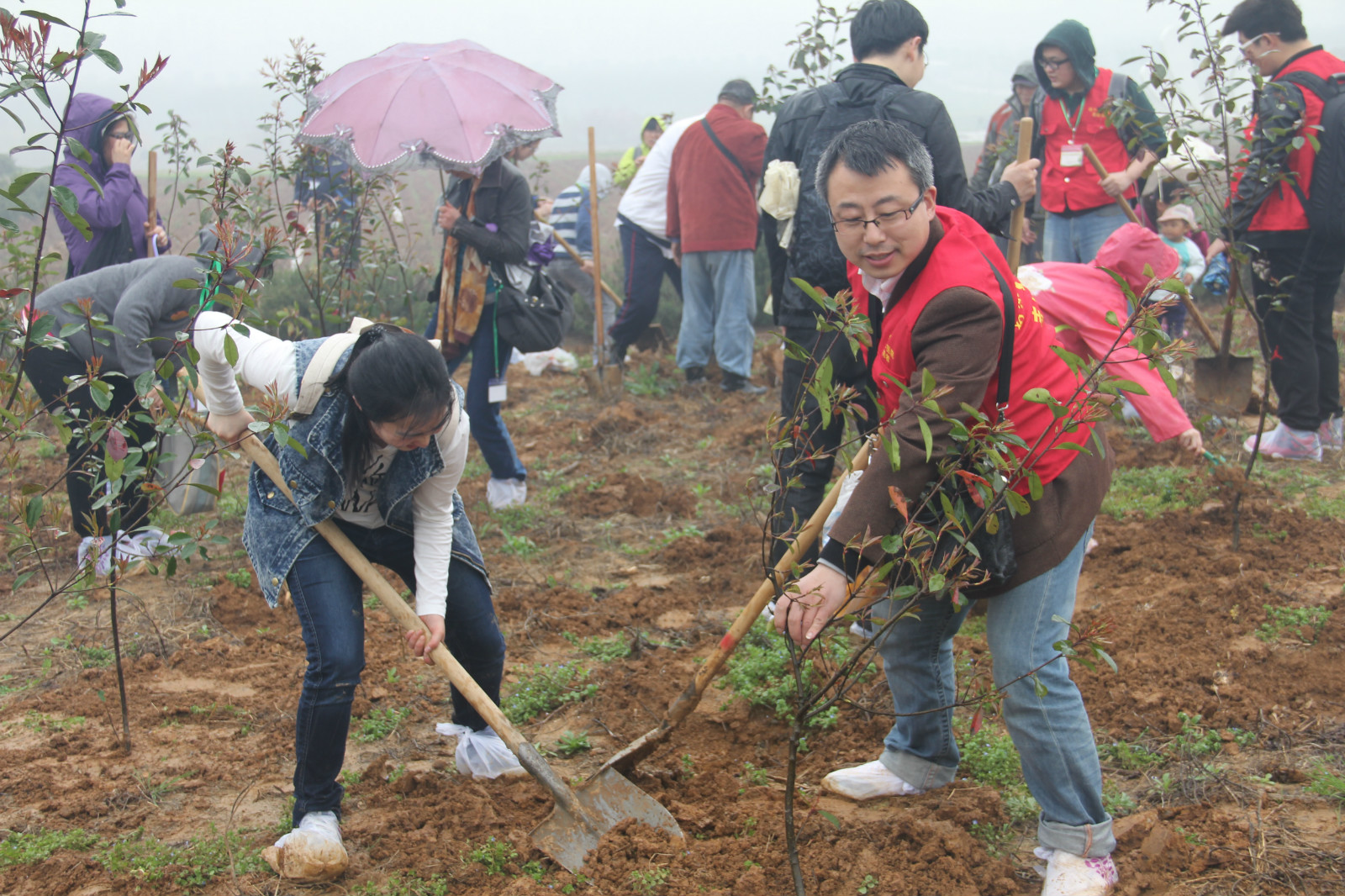 湯山翠谷植樹活動(dòng)